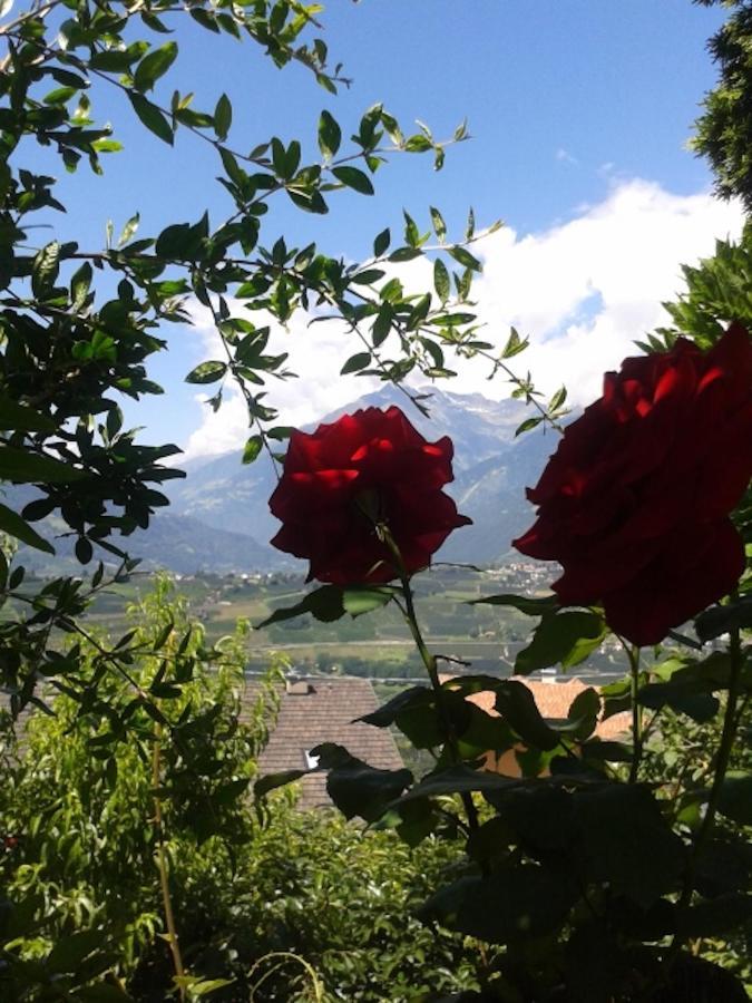 Laugen Rainegg Appartement Schenna Buitenkant foto
